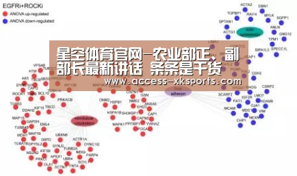 星空体育官网-农业部正、副部长最新讲话 条条是干货(图1) 星空体育直播